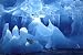 Antartic Wonderland Poster Poster Print, 36x24