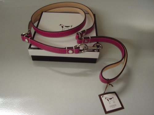 Coach Leather Dog Leash Small Purple