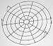 Bernardin Canning Rack - 12"