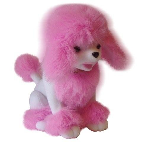 Nodding Poodle