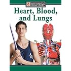 Click here to buy Heart, Blood, and Lungs (Understanding the Human Body) by Steve Parker.