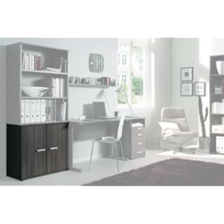 Wellemöbel Aktenschrank Quicks mit 2 Türen eschefarben Escada