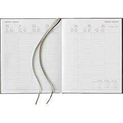 Manager Timer 2012 Classic Line hellbraun 21x26 cm 160 Seiten Buchkalender Praxis Timer