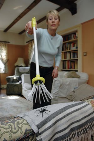 Childrens Toyshop  Electronics : Spider Catcher