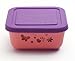 Brinware / Garden Party Glass Food Storage Container with Silicone Sleeve