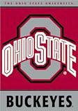 Ohio State Buckeyes Banner Polyester 28 in. x 40 in.