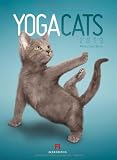 Produkt-Bild: Yoga Cats 2013
