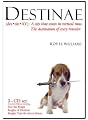 Destinae