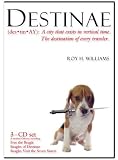 Review Wizard Academy Press  / Destinae