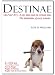 Book Destinae