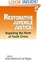 Restorative Juvenile Justice: An Exploration of the Restorative Justice Paradigm for Reforming Juvenile Justice