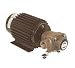 Tools & Hardware : Hypro Roller Pump 4001N-AEH