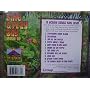 Lava Lava Island Sing & Play Bay Music CD