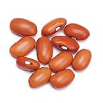 Swedish Brown Beans - 1.75 Lb Jar Each