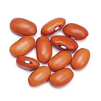 Swedish Brown Beans - 6 / 1.75 Lb Jar Case