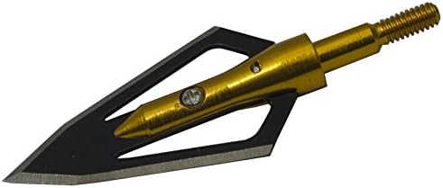 Viare 2 Fixed Blade Archery Broadhead Arrow Head for Hunting 100 Grain Pack of 6 (Gold)