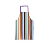 Ulster Weavers Child or Teenager PVC Apron, Teen Stripe