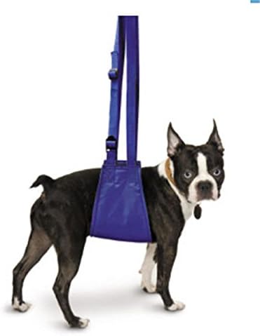 Four Flags Soft Quick Lift Small Dog