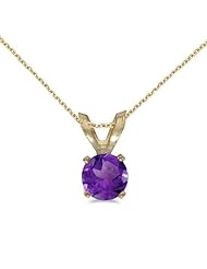10k Yellow Gold Round Amethyst Pendant with 16" Chain