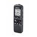 Sony ICDPX312 2GB Digitale Rekorder (M2-/Micro SD-Kartenslot, USB 2.0) schwarz