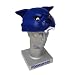 Kentucky Wildcats Foamheads Team Hat