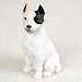 Pit Bull Terrier, White Tiny Ones Dog Figurines (2 1/2in)