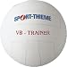 Sports : Sport-Thieme Volleyball VB-Trainer