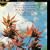 Clara Schumann / Fanny Mendelssohn: Piano Trios