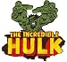 Search : Marvel Comics Retro - The Incredible Hulk Reach Logo Patch