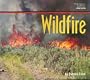 Wildfire
