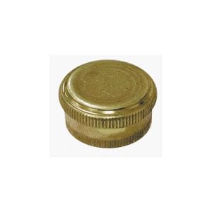 Jones Stephens Corp. G20-055 Garden Hose Cap by 