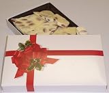 Scott's Cakes 1 lb. White Chocolate Almond Bark in a Ribbon n Holly Box