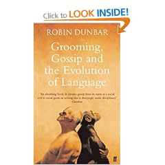 Grooming, Gossip and the Evolution of Language
