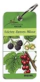 Expedition Natur - Fr&uuml;chte Beeren N&uuml;sse - Anita van Saan