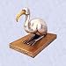 Egyptian Ibis Statue heiroglpyh mount thoth sculpture