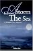 Book A Storm in from the Sea: A Morgan Crew Mystery (Morgan Crew Mysteries)