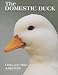 The Domestic Duck