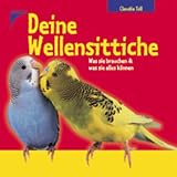 Deine Wellensittiche: Was sie brauchen und was sie alles können