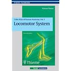 Color Atlas of Human Anatomy (Flexibook) by  Werner Platzer, David Meyer, and Ursula Vielkind