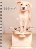 Lightweights Wire-o Bound Blank Journal