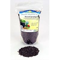 Organic Broccoli Sprouting Seeds - 16 Oz (1 Lbs)- Organic- Edible Seed, Gardening, Hydroponics, Growing Salad Sprout and Food Storage- Brocolli Sprouts Contain Sulforaphane