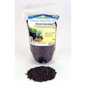 Organic Broccoli Sprouting Seeds - 16 Oz (1 Lbs)- Organic- Edible Seed, Gardening, Hydroponics, Growing Salad Sprout & Food Storage- Brocolli Sprouts Contain Sulforaphane