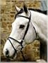 Henri de Rivel Padded Dressage Bridle Blk/Blk Horse (5012-04)