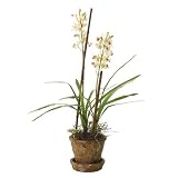 Faux White Wild Cymbidium Orchid Plant