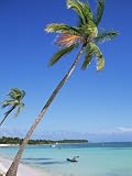 Punta Cana, Dominican Republic, West Indies, Central America
Photographic Poster Print by J Lightfoot, 18x24