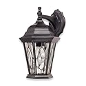 Globe 4572801 Trinity One-Light Outdoor Downward Wall Sconce with Tiffany Glass, Black