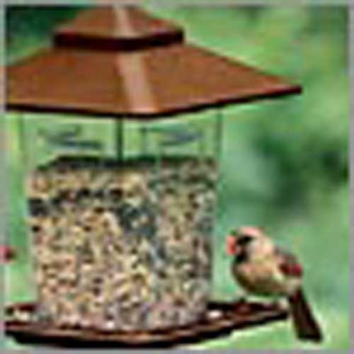 Prairie Style Feeder (Bird (Seed Feeders)