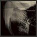 Fear Falls Burning & Nadja
