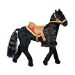 Midnight Morgan Horse