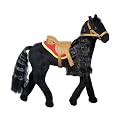 Midnight Morgan Horse